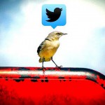 Small bird perched on metal chair with Twitter logo in thought bubble